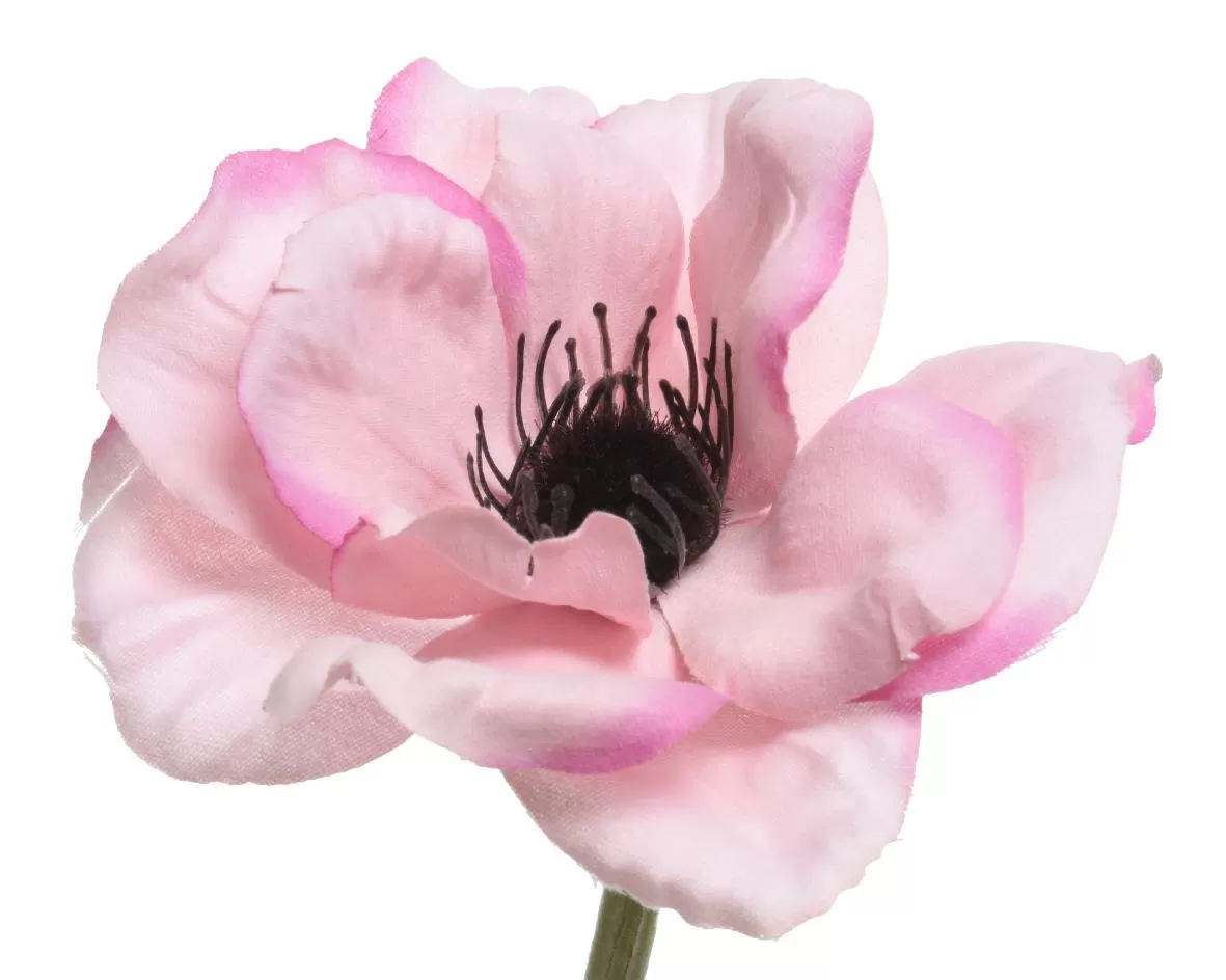 Beauty Home ΑΝΑΕΜΩΝΗ 57 CM
