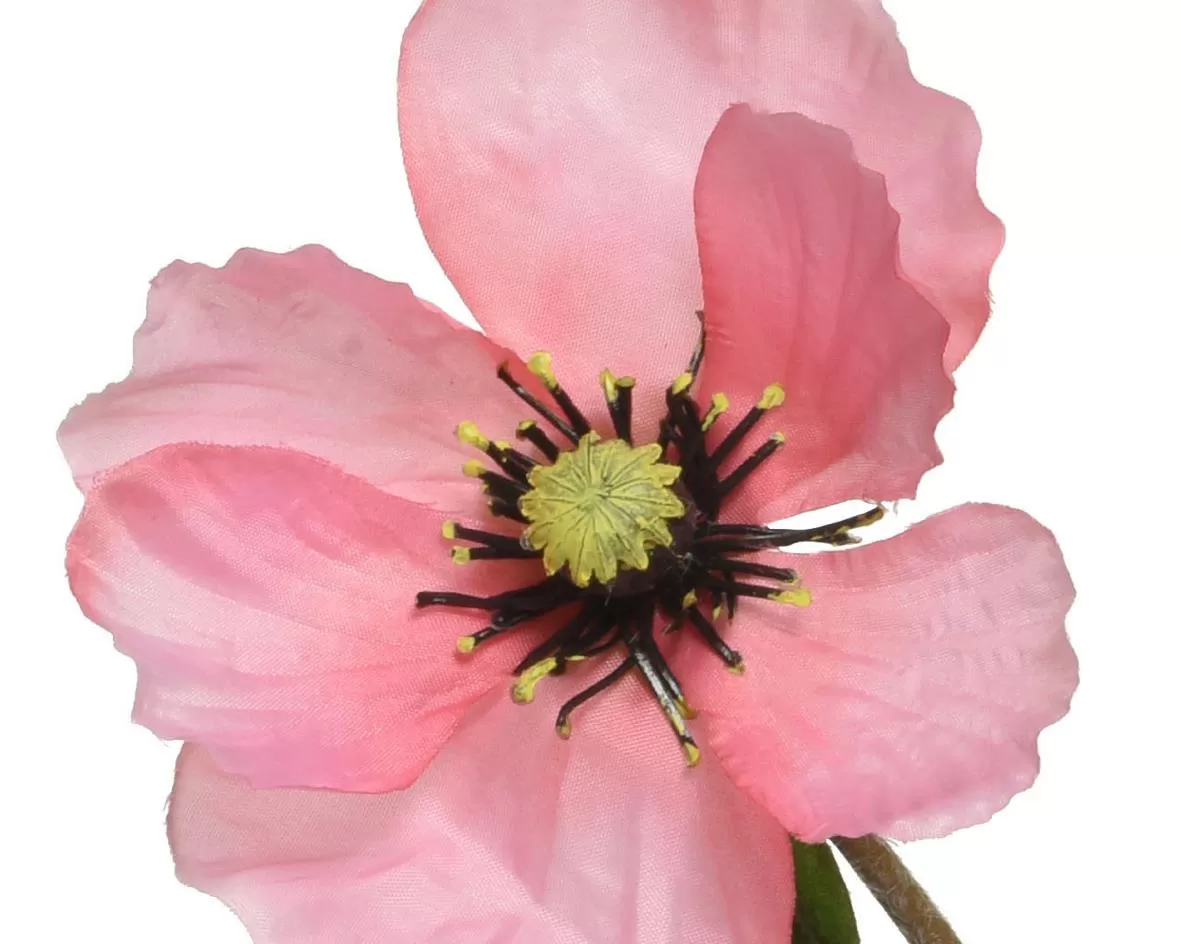 Beauty Home ΠΑΠΑΡΟΥΝΑ ΡΟΖ 71 CM